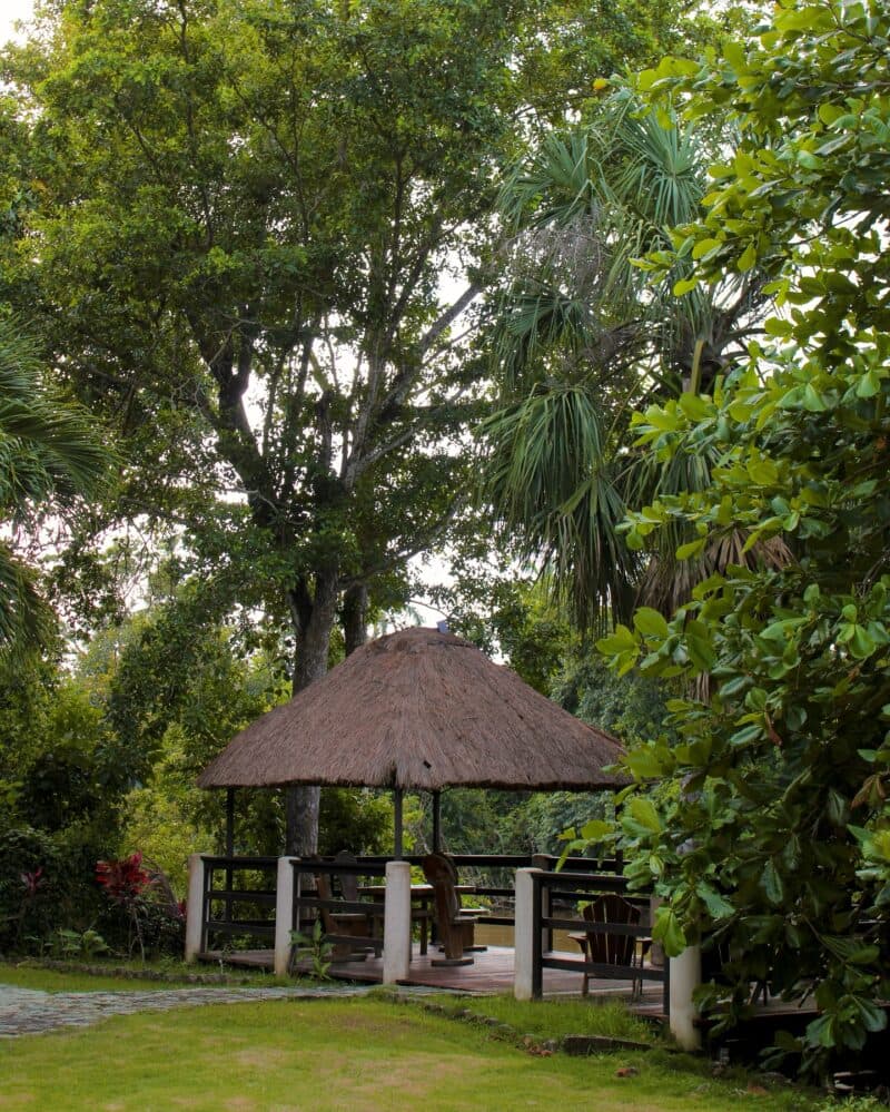A thatched gazebo surrounded by lush greenery and trees.