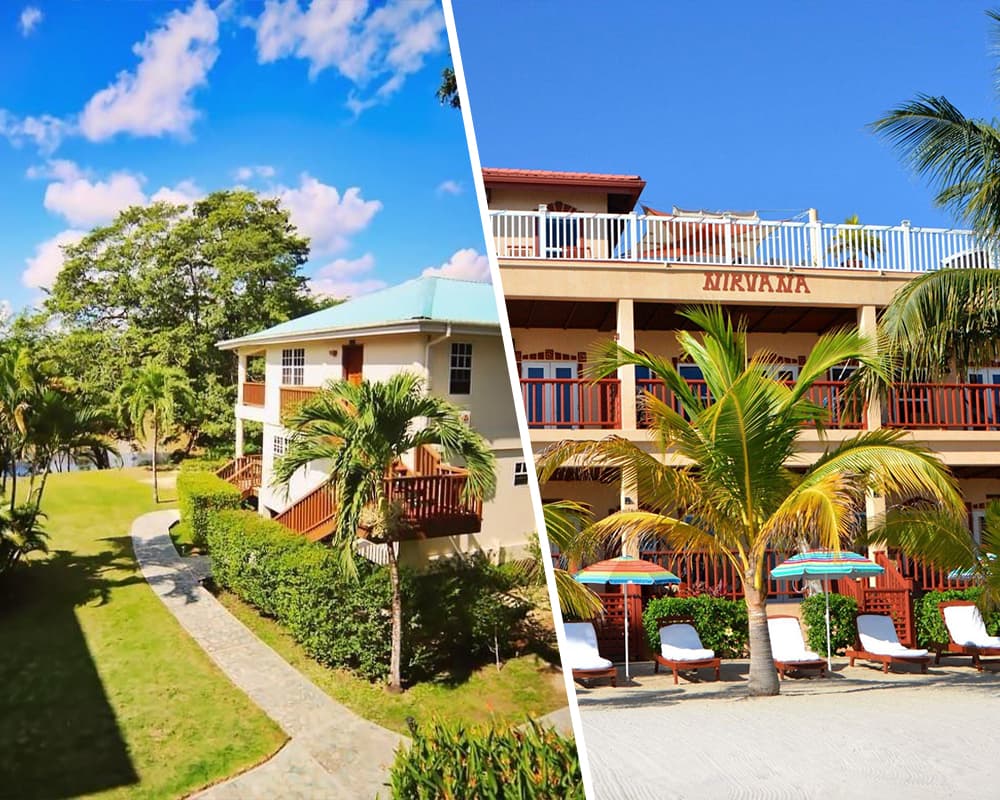 A scenic view featuring two buildings surrounded by lush greenery and palm trees under a bright blue sky.