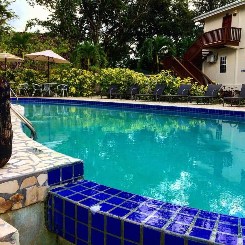 A tranquil swimming pool surrounded by lush greenery and lounge chairs.
