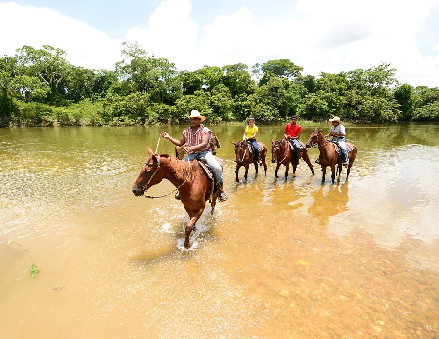 Four riders on horseback crossing a shallow river surrounded by lush greenery.
