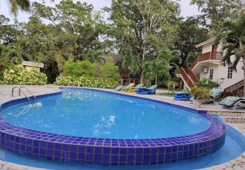 A serene, oval swimming pool surrounded by lush greenery and lounge chairs.