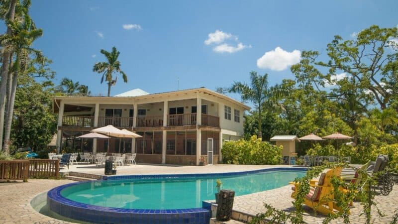 A spacious house with a pool surrounded by tropical greenery and lounge chairs.