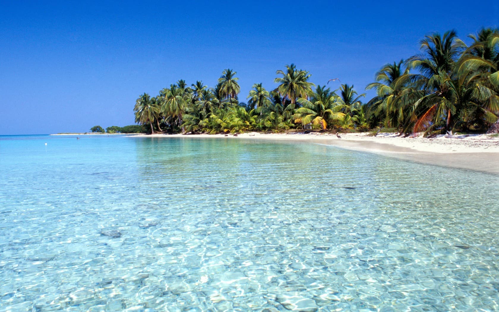 A serene beach with clear turquoise water and lush palm trees under a bright blue sky.
