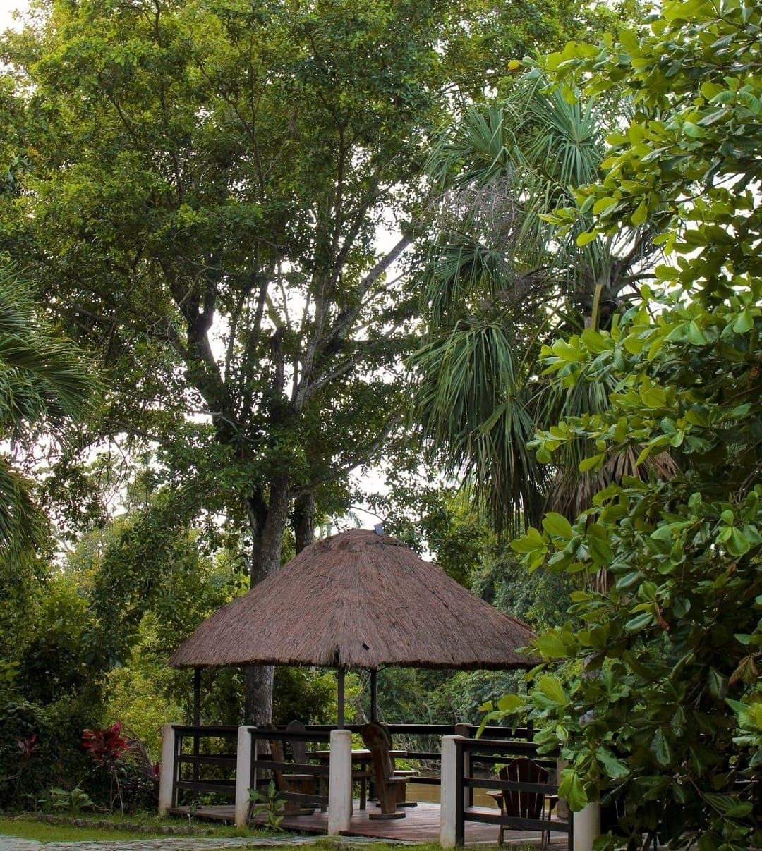 A thatched gazebo surrounded by lush greenery.