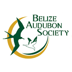 Logo of the Belize Audubon Society featuring stylized birds and text.
