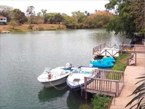 Two boats tied to a wooden dock by a calm river surrounded by greenery.