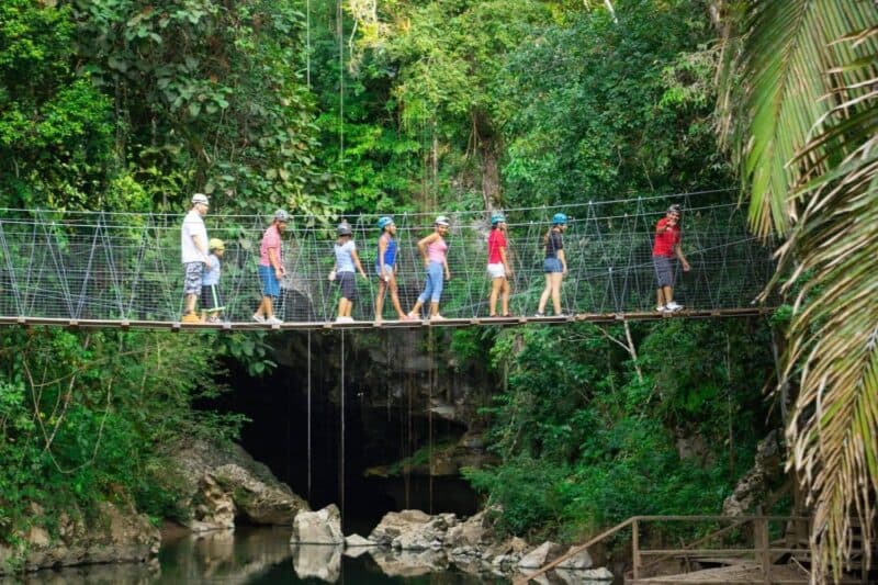 A group of people crosses a suspended mesh bridge surrounded by lush greenery.