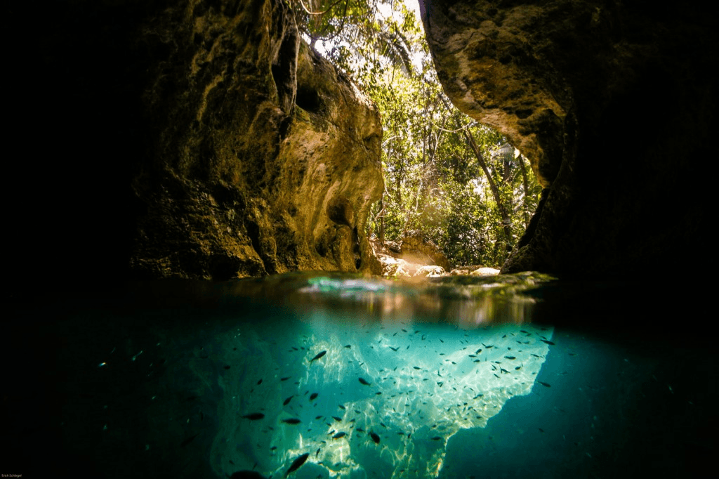 View from underwater looking out of a cave into a lush, green landscape.