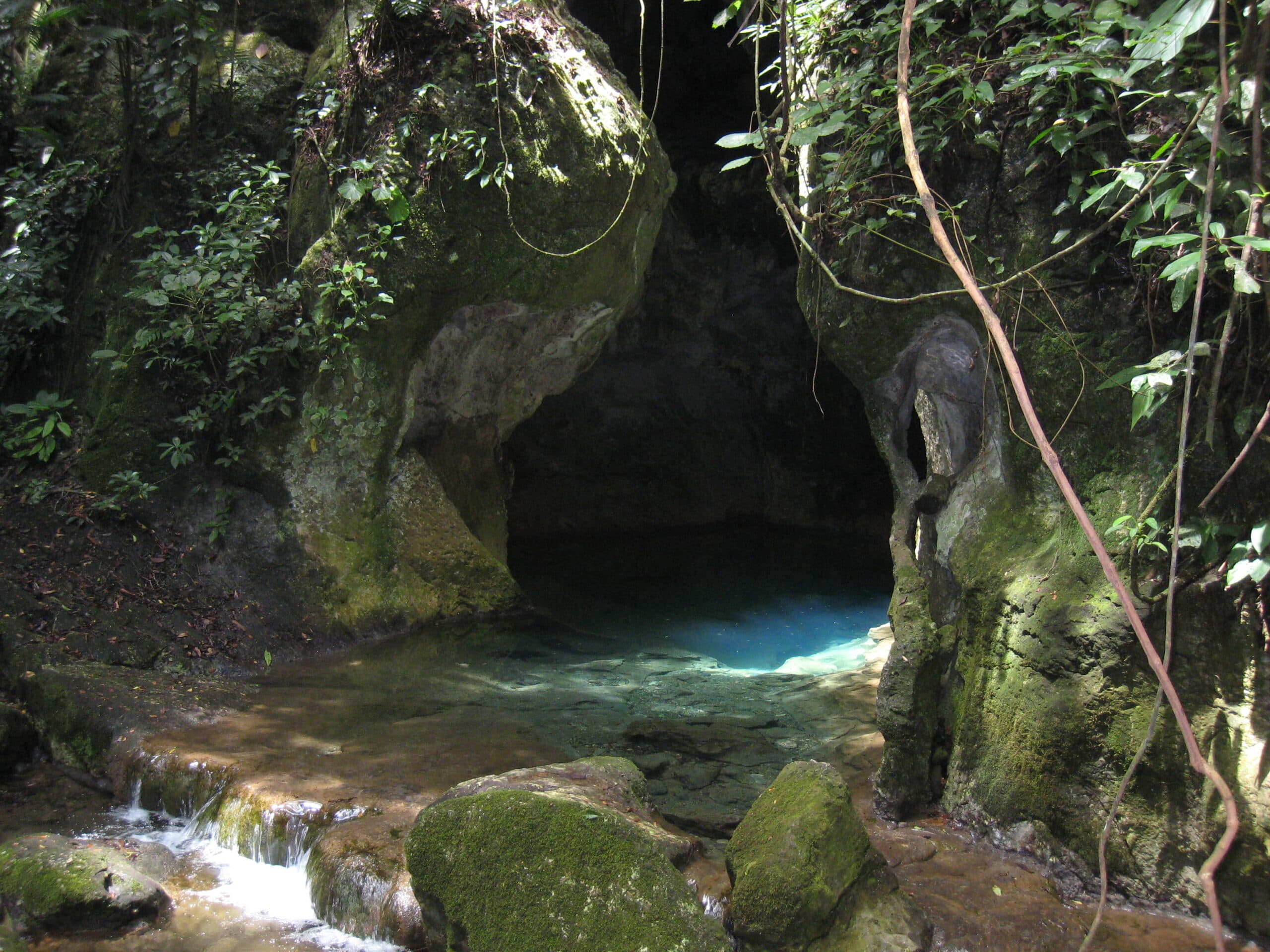 A secluded cave entrance surrounded by lush greenery and a tranquil blue pond.