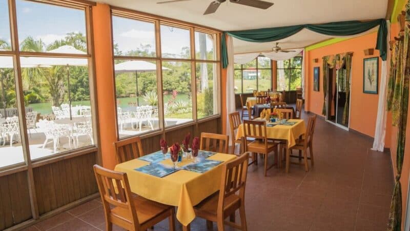Brightly colored dining area with tables set for guests and large windows offering a view of nature outside.
