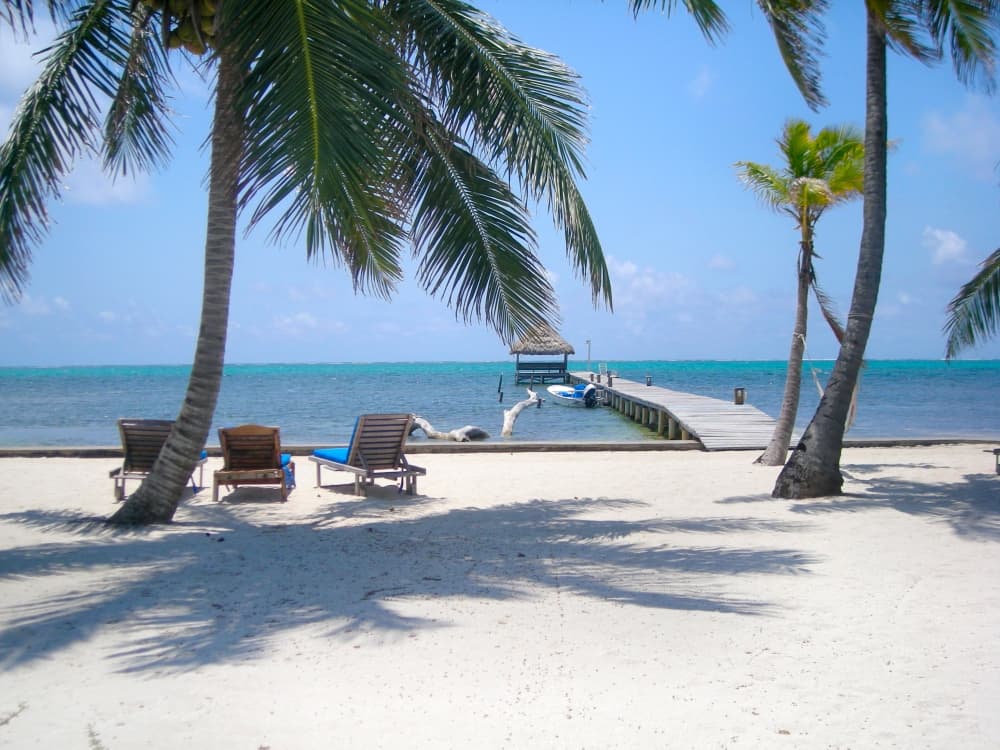 A serene beach view with palm trees, lounge chairs, and a wooden pier extending into turquoise waters.