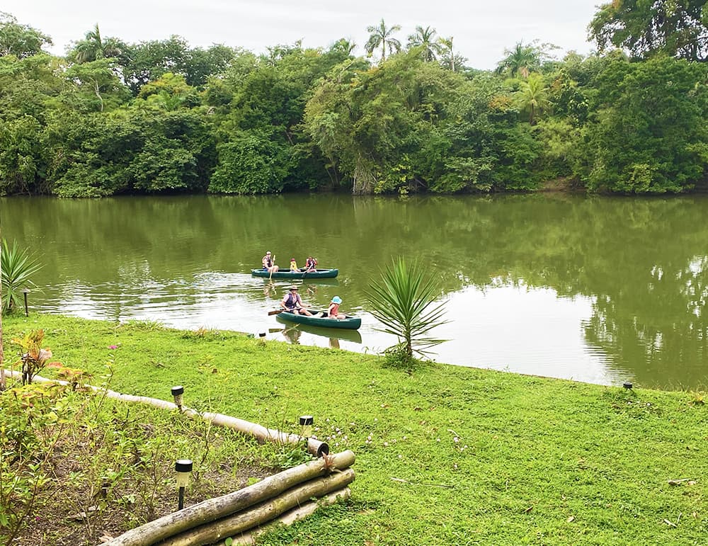 Two canoes with people paddling on a calm river surrounded by lush greenery.