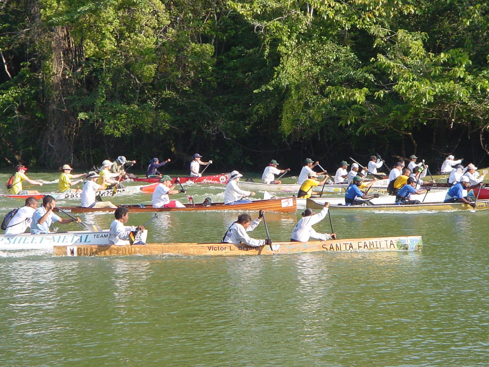 A group of kayakers racing on a calm river surrounded by lush greenery.