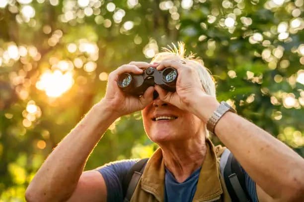 An older man uses binoculars to observe his surroundings in a sunlit forest.