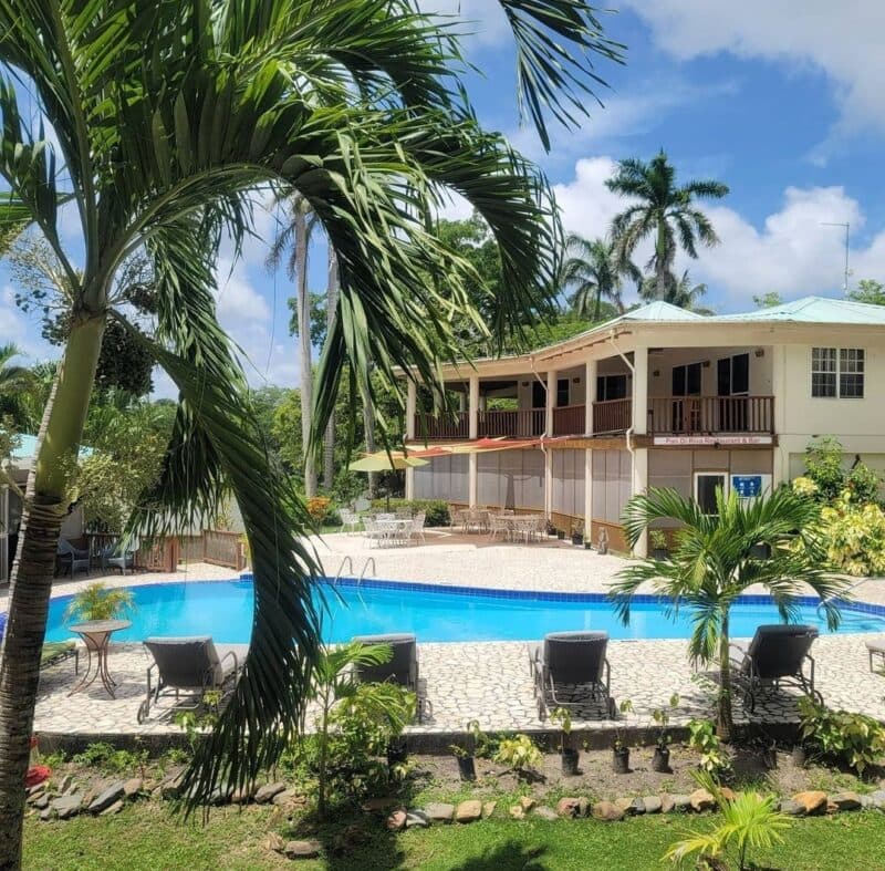 A sunny outdoor pool area surrounded by palm trees and a building with balconies.