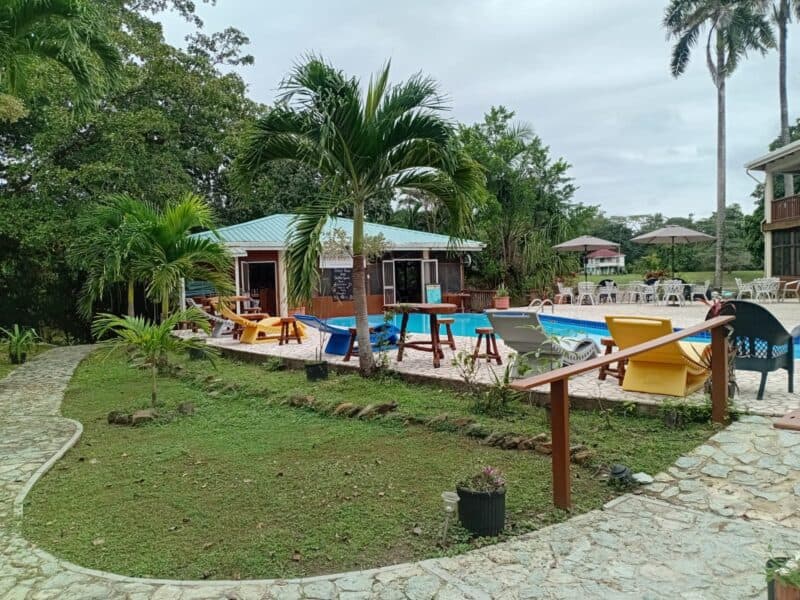 A tranquil pool area surrounded by lush greenery and colorful seating.