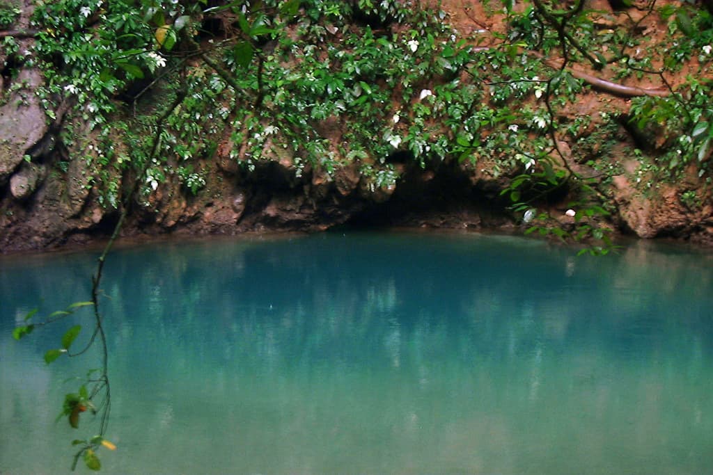A serene, turquoise water pool surrounded by lush greenery.