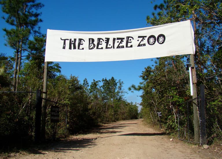 A sign reading "The Belize Zoo" welcomes visitors along a dirt path surrounded by greenery.