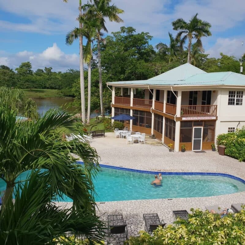 A serene poolside view featuring a house surrounded by palm trees and lush greenery.