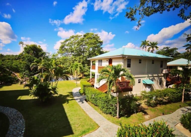 A tropical landscape featuring a two-story building surrounded by lush greenery and a clear blue sky.