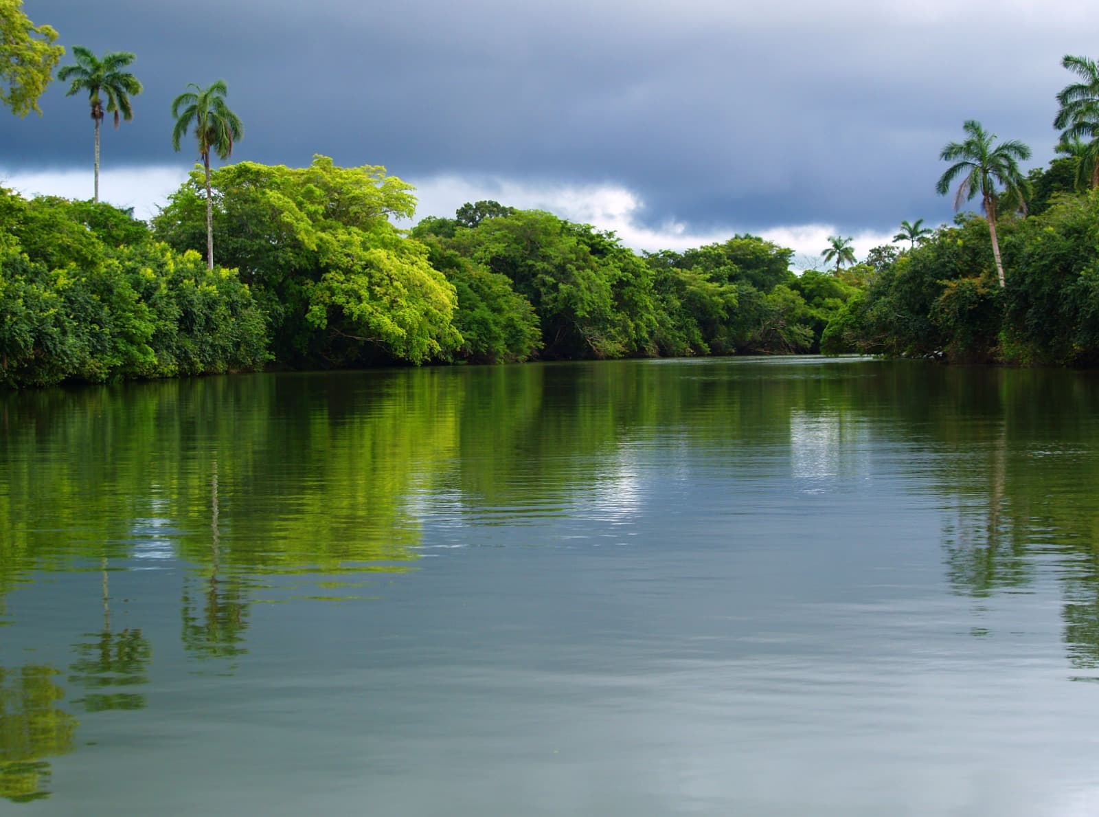 Serene river view surrounded by lush greenery under a cloudy sky.