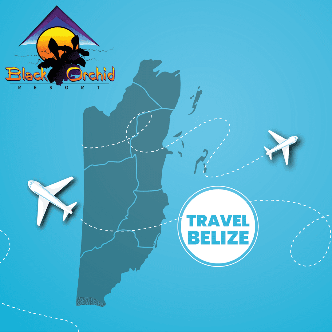 Map of Belize with flight paths and "Travel Belize" text, featuring the Black Orchid Resort logo.