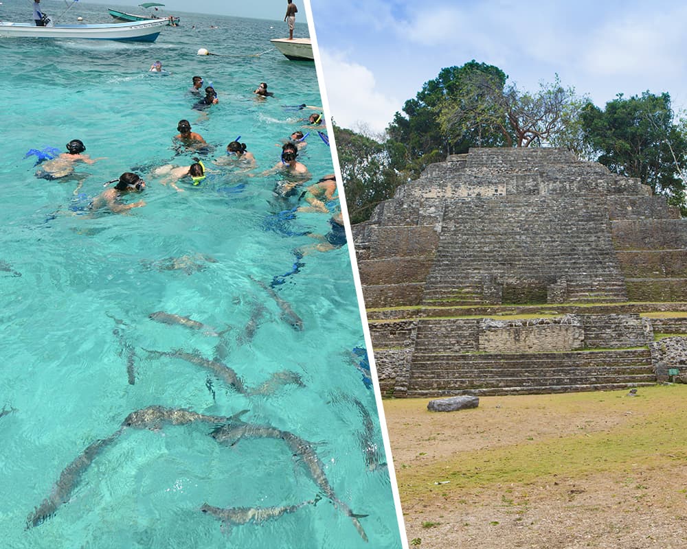 A split image showing snorkelers swimming in clear water with fish on one side and an ancient stone pyramid on the other.