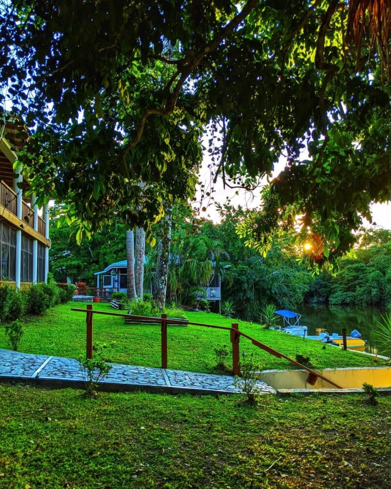 A serene riverside scene with a lush garden, stone pathway, and evening sunlight filtering through trees.