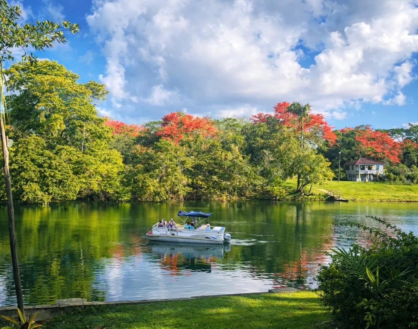 A small boat with passengers navigates a calm river surrounded by vibrant trees under a blue sky.