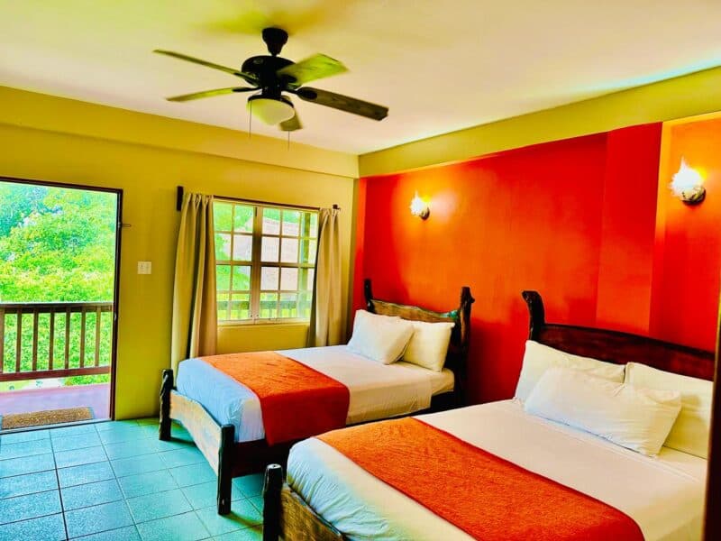 Cozy bedroom with two beds, bright orange accent wall, and a window overlooking greenery.