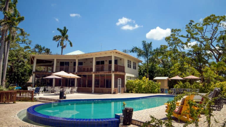 A spacious house with a pool surrounded by lush greenery and patio seating.