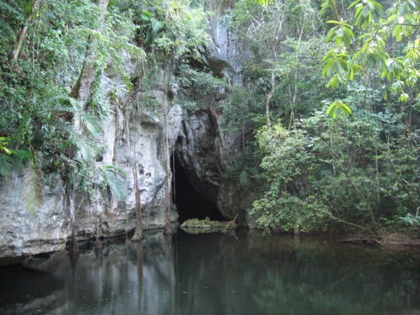 A serene jungle scene featuring a cave entrance beside a still waterbody, surrounded by lush greenery.