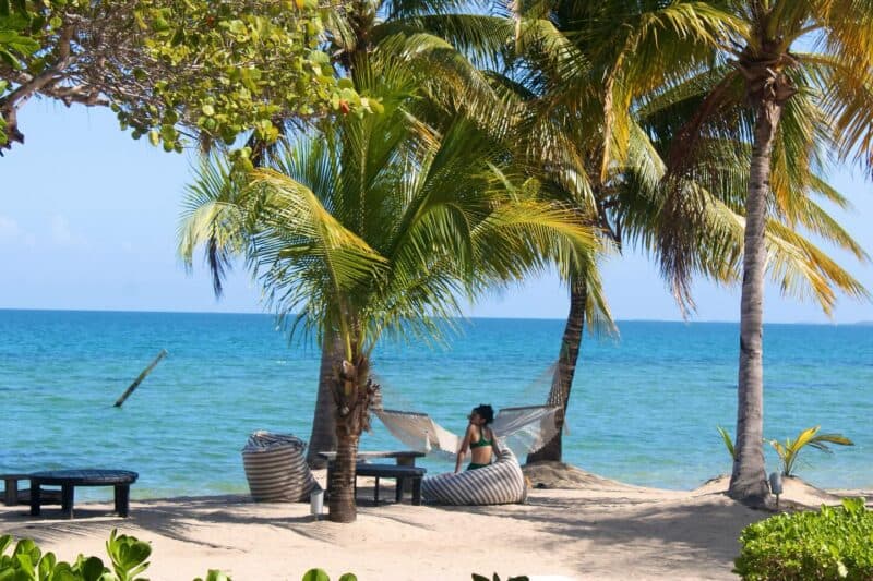 A person relaxes on the beach under palm trees with a view of the ocean.