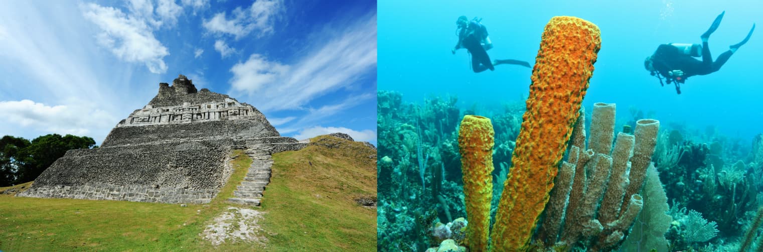 A side-by-side image featuring an ancient Mayan ruin and scuba divers exploring vibrant coral formations underwater.