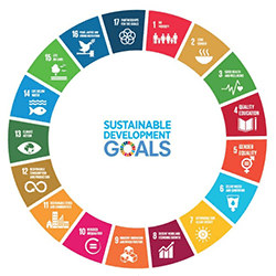 Circle graphic depicting the 17 Sustainable Development Goals with a central title.