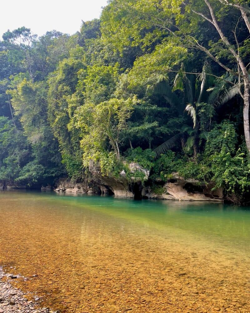 A tranquil river bordered by lush green trees and rocky banks.