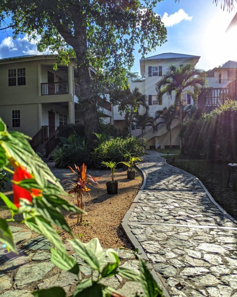 A stone path winds through a lush garden with tropical plants and buildings in the background.