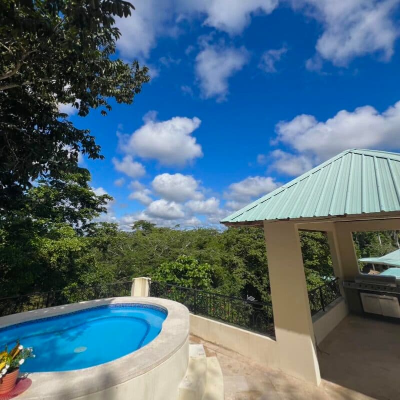 A small blue jacuzzi surrounded by lush greenery under a bright blue sky with fluffy clouds.
