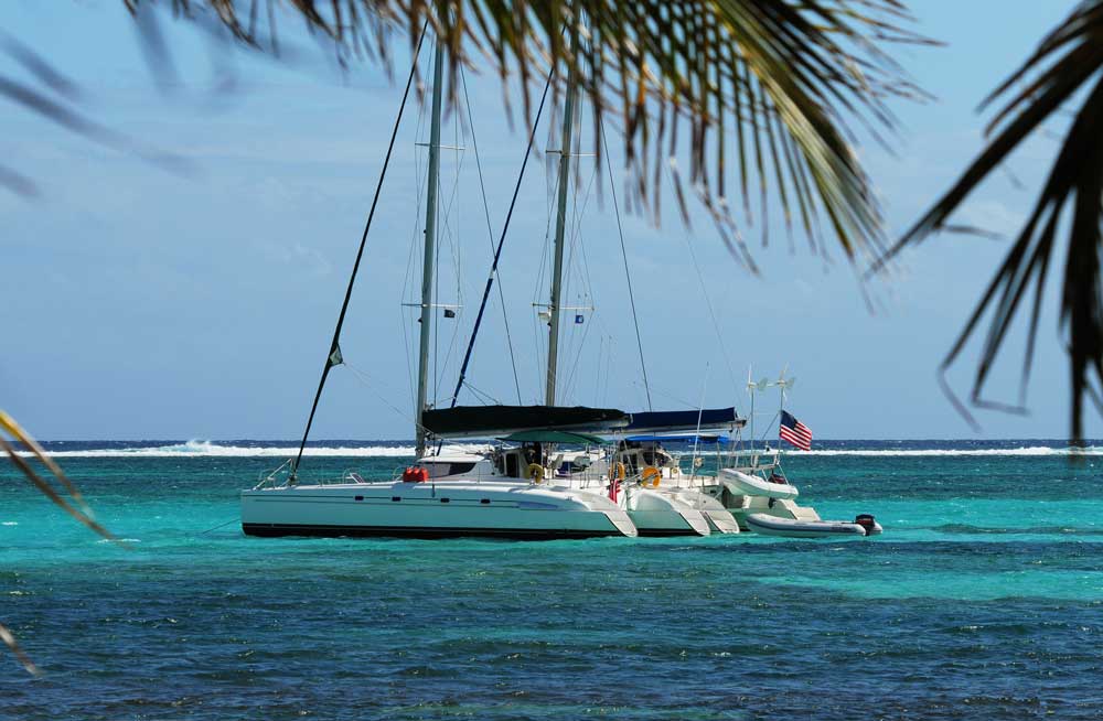 A catamaran with sails anchored in clear turquoise water, framed by palm leaves.