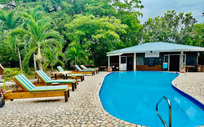 A tranquil pool area with lounge chairs surrounded by greenery and a nearby shaded hut.
