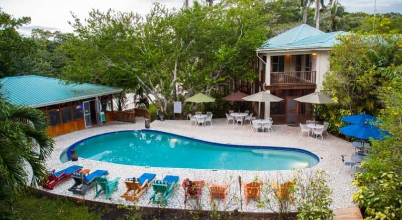 Aerial view of a pool surrounded by lounge chairs, tables, and tropical trees.