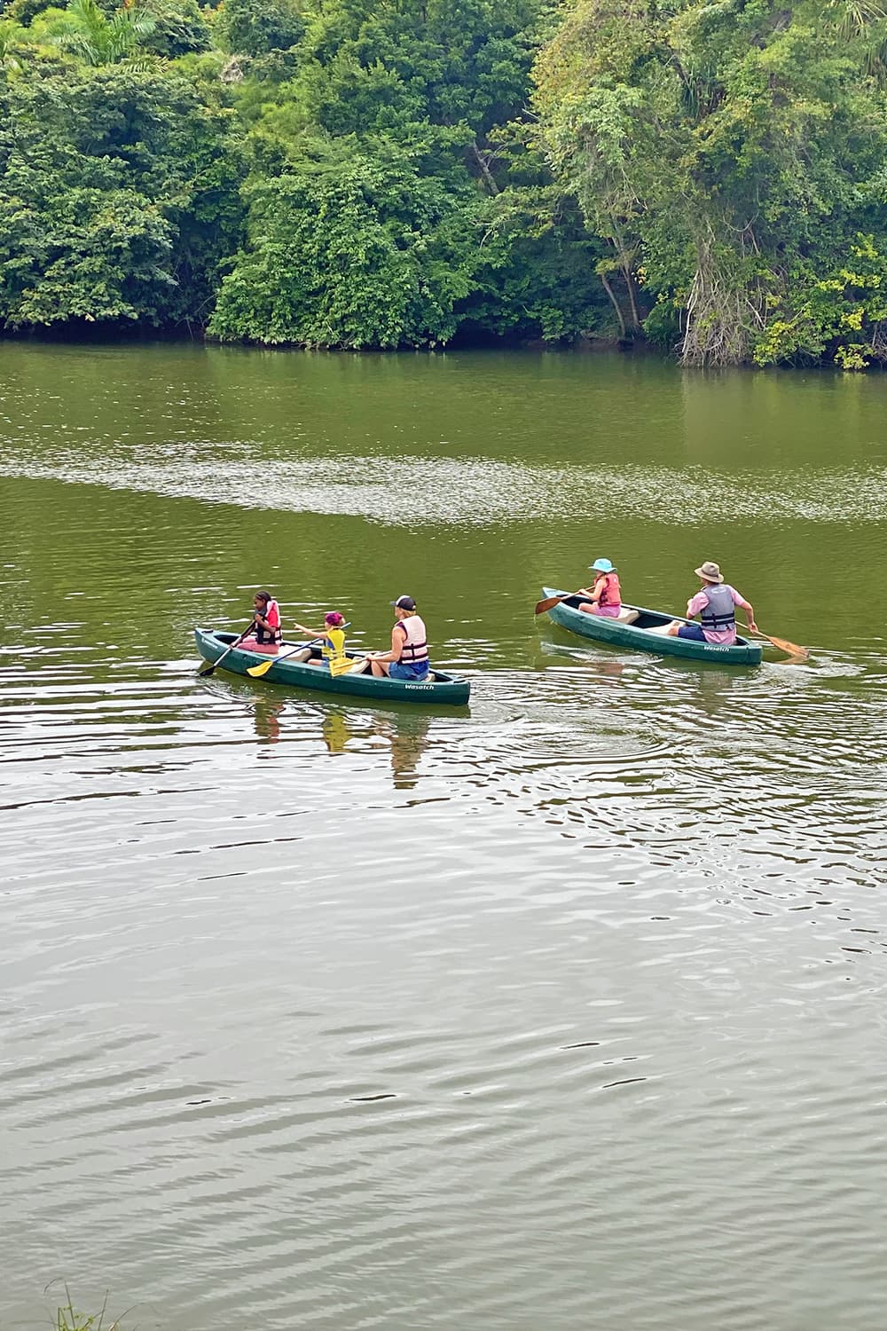 Two canoes paddled on a calm, green lake surrounded by lush vegetation.