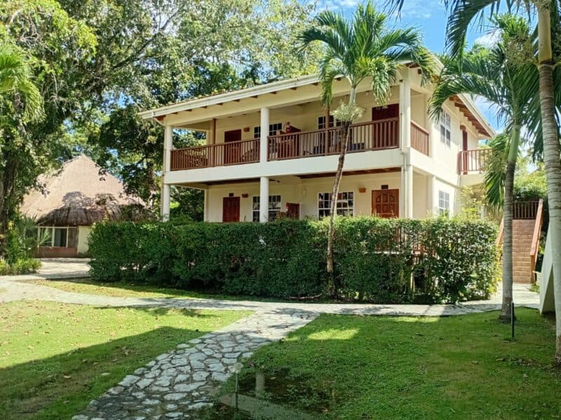 Two-story house surrounded by lush greenery and palm trees.