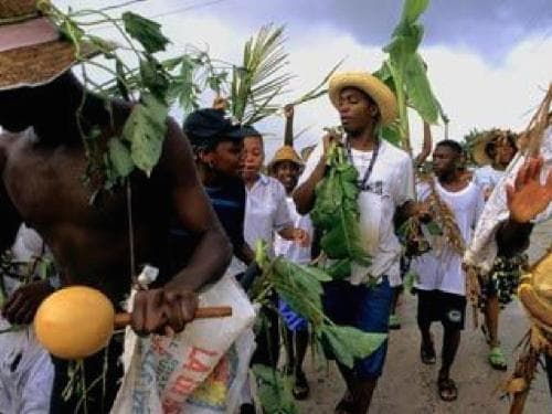 A group of people, some wearing straw hats, participate in a lively procession carrying plants and musical instruments.