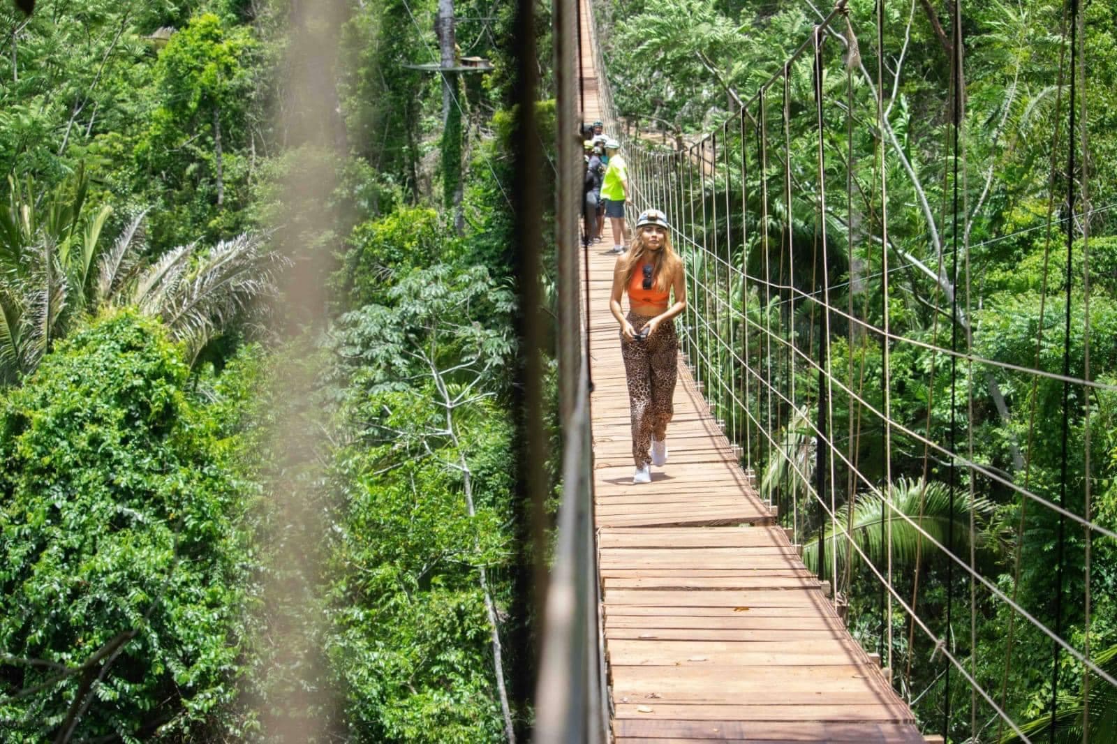A person walks across a wooden suspension bridge surrounded by lush greenery.
