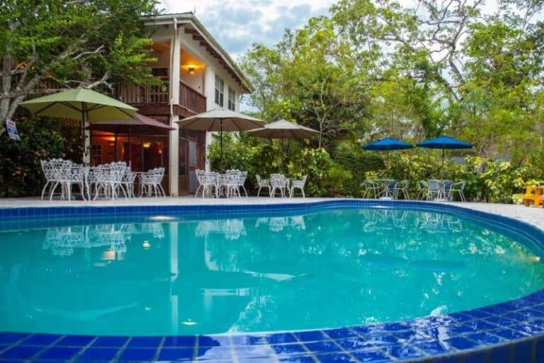 A clear swimming pool surrounded by lush greenery and outdoor furniture.