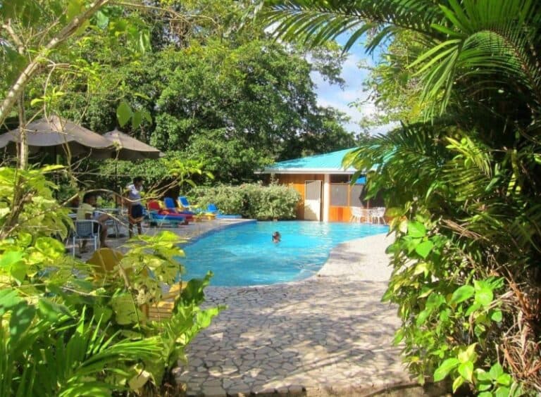 A serene swimming pool surrounded by lush greenery and lounge chairs on a sunny day.