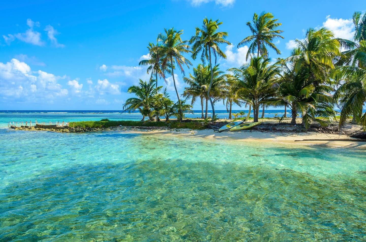 A tropical beach with clear turquoise water and palm trees under a blue sky.