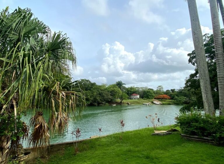 image-010