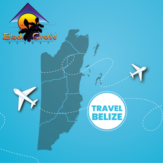 digital customs Belize